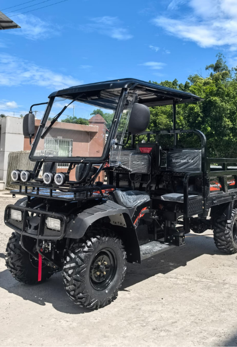 motocarro cuatrimoto carga maxima